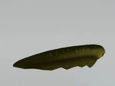 Electric Eel Low-poly 3D model