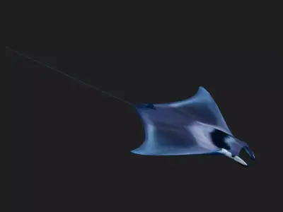 Devilfish Low-poly 3D model