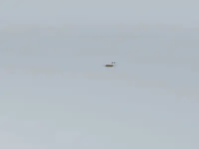 The Bad Pun Racer Free 3D model