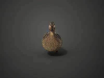 Mallard Female Animated VFX Grace 3D model