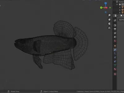 Betta Fish 3D model