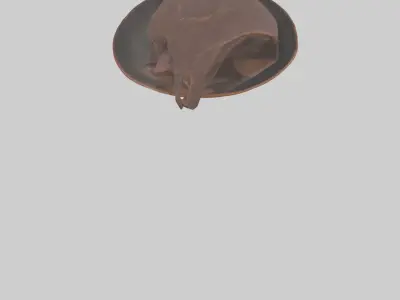 Moose Liver Low-poly 3D model
