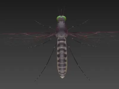 Mosquito with eyes Low-poly 3D model