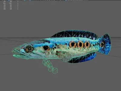 Snakehead Low-poly 3D model