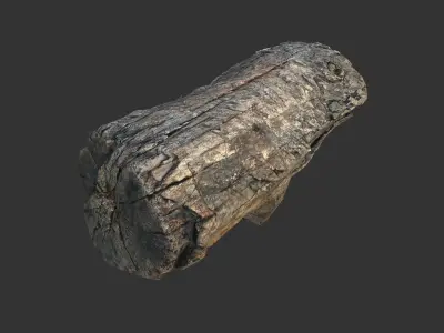 Realistic tree trunk Low-poly 3D model
