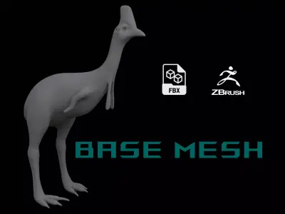 Cassowary Base Mesh 3D model
