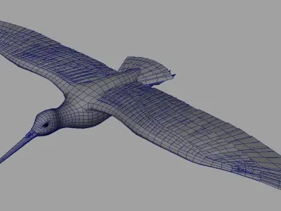 Snipe bird in flight 3D model