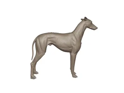 Greyhound sculpture 3D model