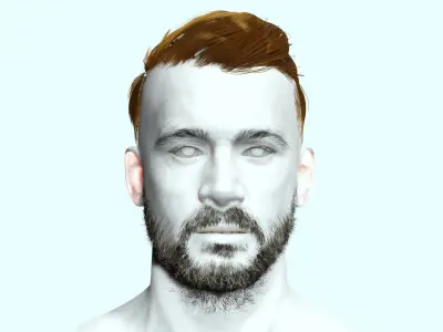 Side Part Male Hair Cut Low-Poly Low-poly 3D model