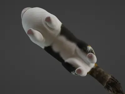 Cat Rigged 3D model