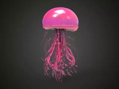 Pink  jellyfish 3D model