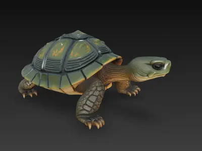 Turtle Realistic 3D Model - Low Poly Realistic Low-poly 3D model