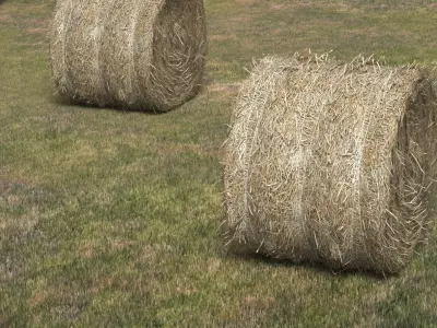 Farm Field with Round Hay Bale Rolls Golden Brown Fur 3D model