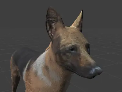 ALSATIAN DOG Low-poly 3D model