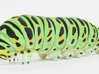 -Old World Swallowtail Caterpillar - Papilio Machaon- 3D model