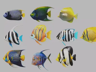 Fish 10 3D model
