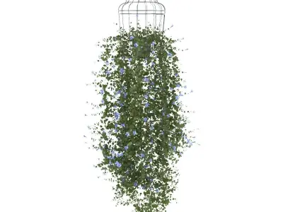 Plant flower in bird cage 3 set 3D model