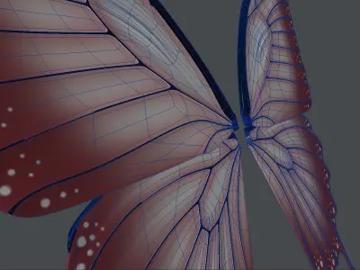 Fairy or Butterfly Wings Set B 3D model