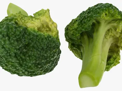 Broccoli Florets 02 3D model