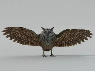 Barn Owl Low-poly 3D model