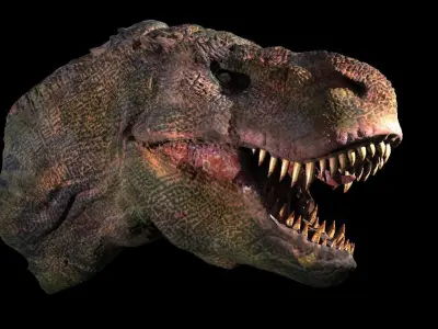 T Rex Head Sculpture 2  3D model