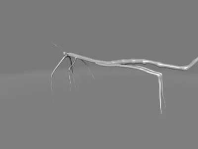 Phryganistria praying mantis 3D model