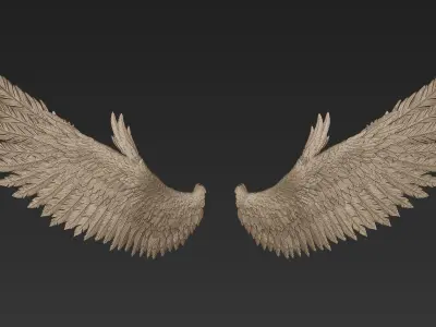 Wings 2 Zbrush Sculpt 3D model
