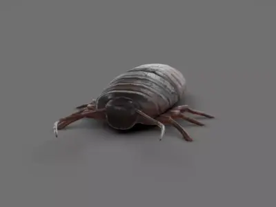 Roach - Read Description Low-poly 3D model