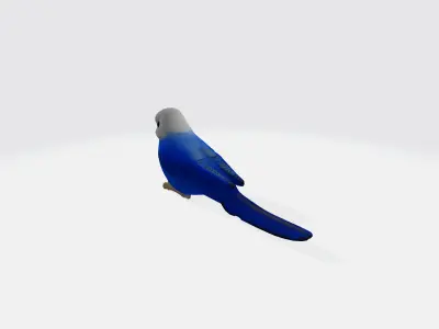 Parrot 3d model Low-poly 3D model