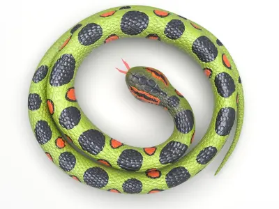 Rubber Snake 3D model