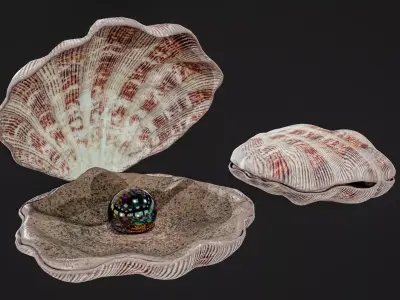 Sea Shell With Pearl Low-poly 3D model