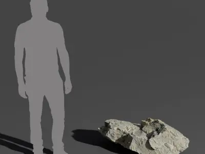  Cool Toned Curved Low Large Rock Boulder Model 