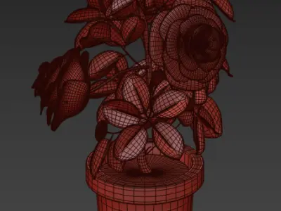 Plant Low-poly 3D model