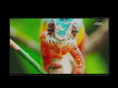Sony TV Free low-poly 3D model