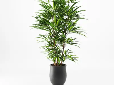 Indoor Decorative Plants in Pot Set - 01 3D model