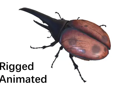 beetle dynastes Low-poly 3D model