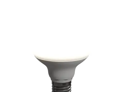  Opaque Globe Light Bulb Model 