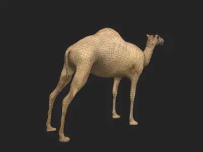 Camel Low-poly 3D model