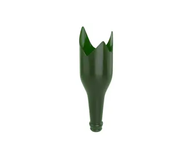 Broken Bottle 3D model