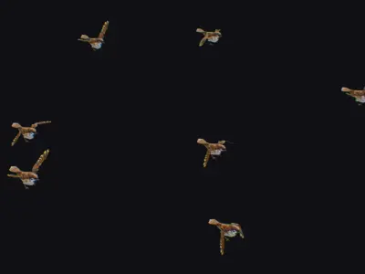 Realistic Sparrow Flock Animated Bird Swarm Shoal Birds Low-poly 3D model