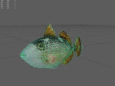 Triggerfish Low-poly 3D model