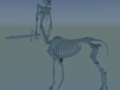 Centaur Model Part 2 Rigged and animations Free low-poly 3D model