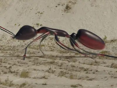 Ant 3D model rigged animated Low-poly 3D model