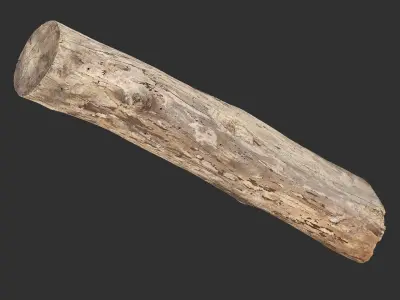 A length of wood 3d scan in highpoly 3D model