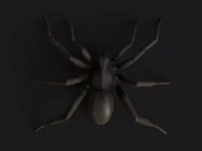 Wolf Spider Low-poly 3D model
