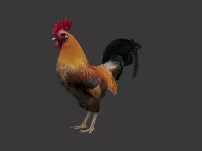 Cock  Rooster Low-poly 3D model