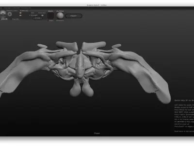 Pentery thoracic vertebra 3D model
