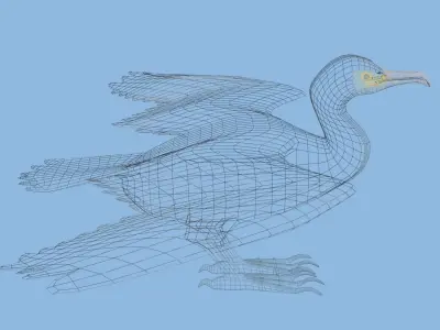 Low Poly Cormorant model with wings spread Low-poly 3D model