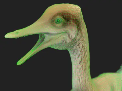 Halszkaraptor Low-poly 3D model