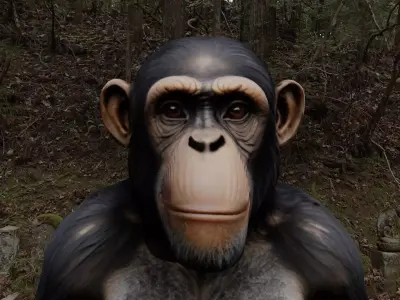 Chimpanzee Character - Realistic - Rigged - Animated for Games Low-poly 3D model